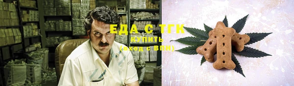 тгк Алексин