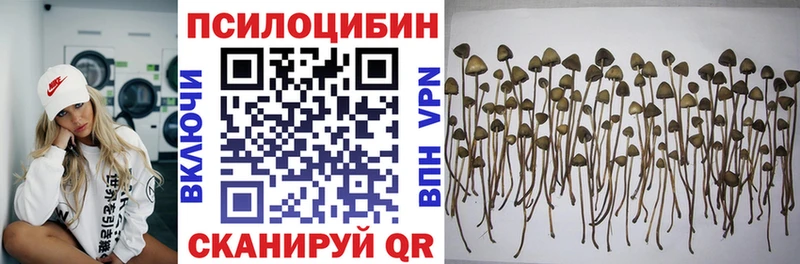 Галлюциногенные грибы Cubensis  магазин  наркотиков  Хадыженск 
